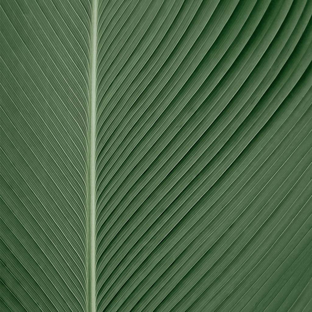 Buy Thank You Gift Boxes NZ Shop Thank You Gifts NZ